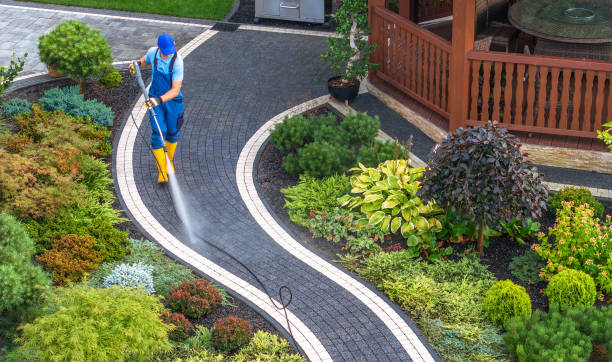 Best Concrete Pressure Washing  in Hinton, WV